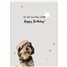 Birthday - Fun GCD81675